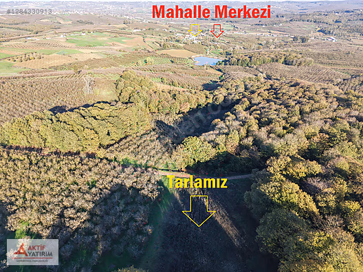 SAKARYA KAYNARCA CEBEK 2786 M2 KARE ORMANA CEPHELİ RESMİ YOLLU - SAKARYA KAYNARCA fotoğraf 3
