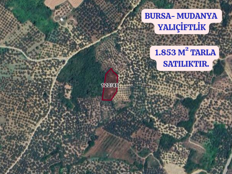 BURSA MUDANYA TİRİLYE (HALİLBEY) 1.853 M² TARLA SATILIKTIR. - BURSA MUDANYA fotoğraf 2