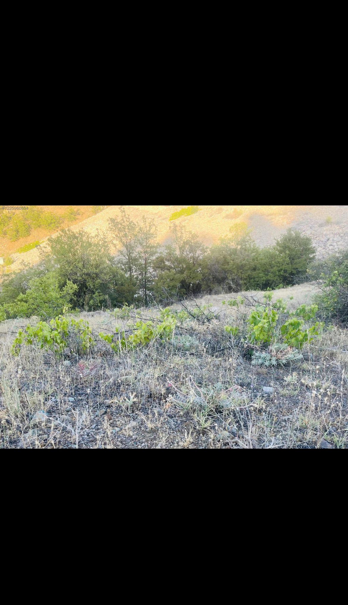 KONYA HADİM YELMEZ  KÖYÜNDE  2.817 M²  TARLA  SATILIKTIR - KONYA HADİM fotoğraf 12