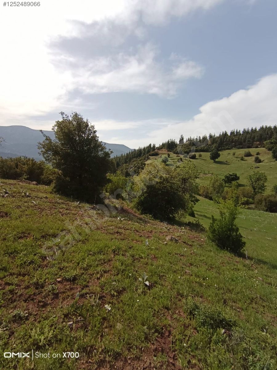 Antalya Konyaaltı Doyran Yayla 1.200 m² Tek Tapu Konyaalti Sahile 30 dk - ANTALYA KONYAALTI fotoğraf 12