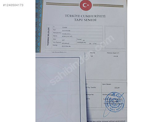 İZMİR BAYINDIR YEŞİLOVA  KÖYÜNDE 624  M² ZEYTİNLİK  SATILIKTIR - İZMİR BAYINDIR fotoğraf 7