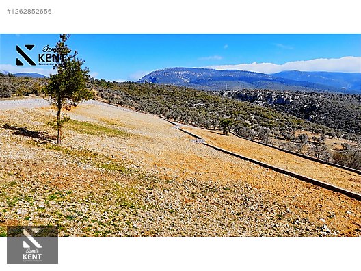 Kemalpaşa Ansızca Satılık 1406 m2 Bahçe - İZMİR KEMALPAŞA fotoğraf 11