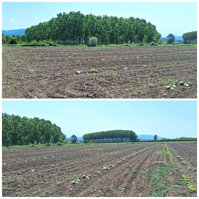 ERENLER KAMIŞLI MAHALLESİNDE SATILIK 3.370 M2 TARLA - SAKARYA ERENLER fotoğraf 10