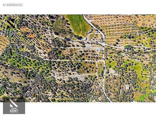 Kemalpaşa Vişneli Satılık 370 m2 Bahçe Elektrik Su Yol - İZMİR KEMALPAŞA fotoğraf 12