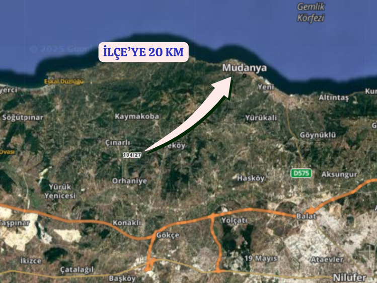 BURSA MUDANYA DEREKÖY  KÖYÜNDE 2.840 M²  ZEYTİNLİK SATILIKTIR - BURSA MUDANYA fotoğraf 7