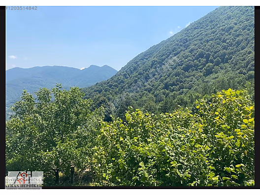 AYHAN HEPDİKER DEN GEYVE NURİOSMANİYEDE 18000 M2 HARİKA KONUMDA - SAKARYA GEYVE fotoğraf 34