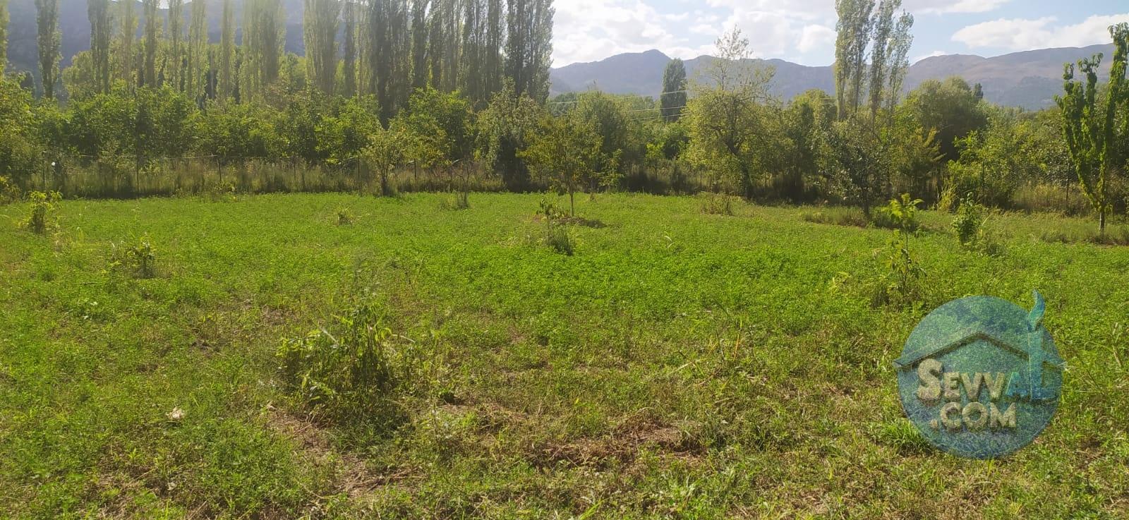 ASYA EVİM EMLAKTAN AĞLASUN KUM MAH DE FIRSAT HOBİ BAHÇESİ - Burdur Ağlasun fotoğraf 16
