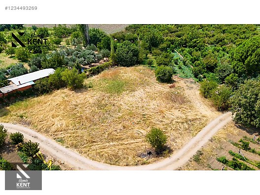 Kemalpaşa Yukarıkızılca Satılık 408 m2 Bahçe - İZMİR KEMALPAŞA fotoğraf 34