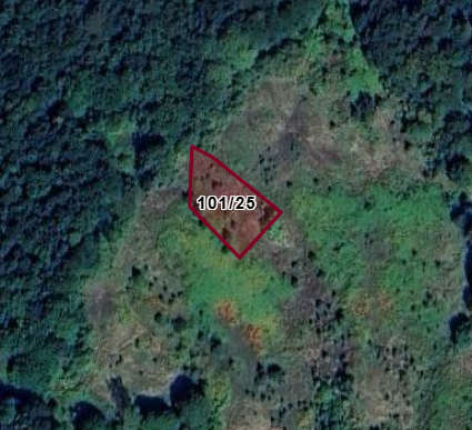 BOLU MUDURNU GÖKÖREN KÖYÜ 693M² TARLA SATILIKTIR - BOLU MUDURNU fotoğraf 2
