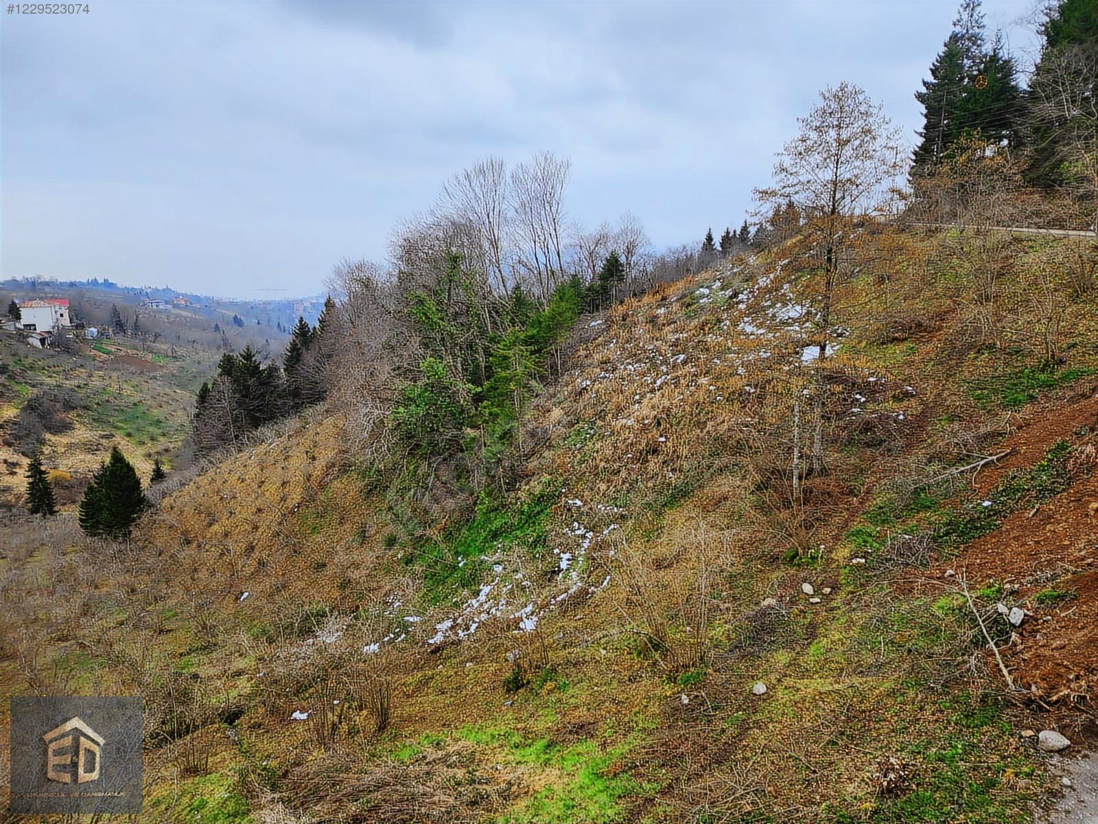 E&D GYO'DAN TRABZON KAVALA'DA SATILIK 1050 M² MANZARALI ARSA - TRABZON ORTAHİSAR fotoğraf 12