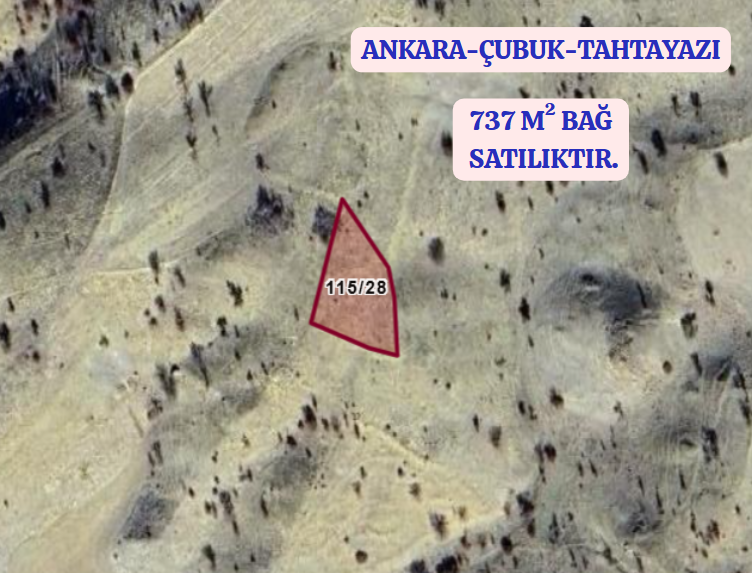 ANKARA ÇUBUK TAHTAYAZI KÖYÜNDE 737 M² BAĞ SATILIKTIR - ANKARA ÇUBUK fotoğraf 2