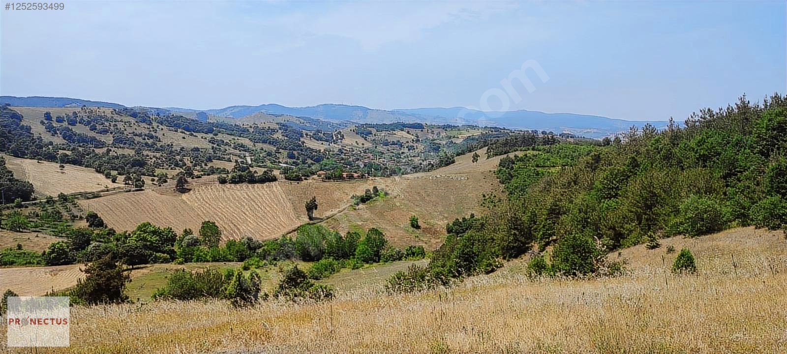ÇAMDİBİ MAHALLESİ'NDE 8843 M2 SATILIK %5 İMARLI FIRSAT ARSA - KOCAELİ KARAMÜRSEL fotoğraf 2