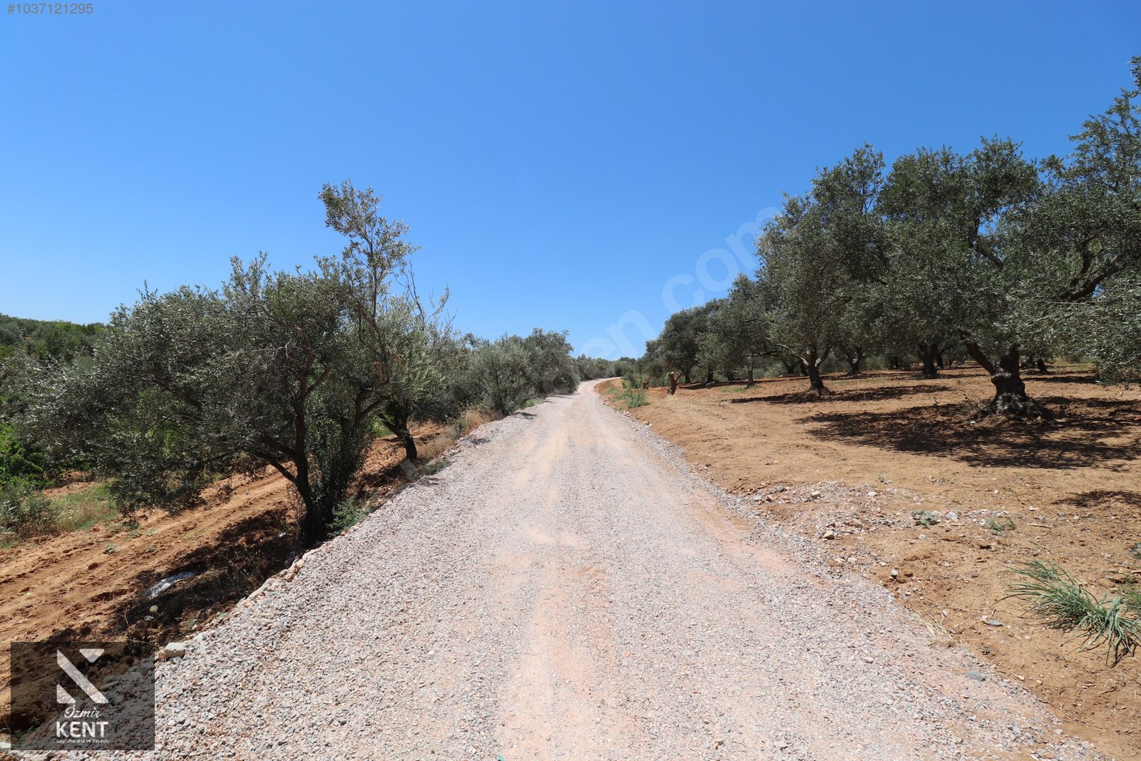 Kemalpaşa Çambel Satılık Bahçe 1.528 m2 - İZMİR KEMALPAŞA fotoğraf 22