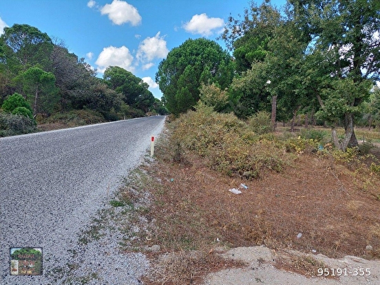 KOZAK YUKARIBEY MAH DE BERGAMA AYVALIK ANA YOLUNA CEPHELİ 8800M2 FISTIKLIK - İZMİR BERGAMA fotoğraf 2