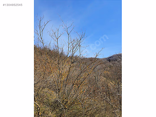 Gölcük Nüzhetiyede 2605m² Yatırımlık Fırsat Arazi - KOCAELİ GÖLCÜK fotoğraf 7
