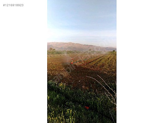 DENİZLİ ACIPAYAM APA  KÖYÜNDE 2.976  M² TARLA  SATILIKTIR - DENİZLİ ACIPAYAM fotoğraf 4