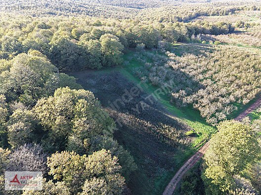SAKARYA KAYNARCA CEBEK 2786 M2 KARE ORMANA CEPHELİ RESMİ YOLLU - SAKARYA KAYNARCA fotoğraf 11