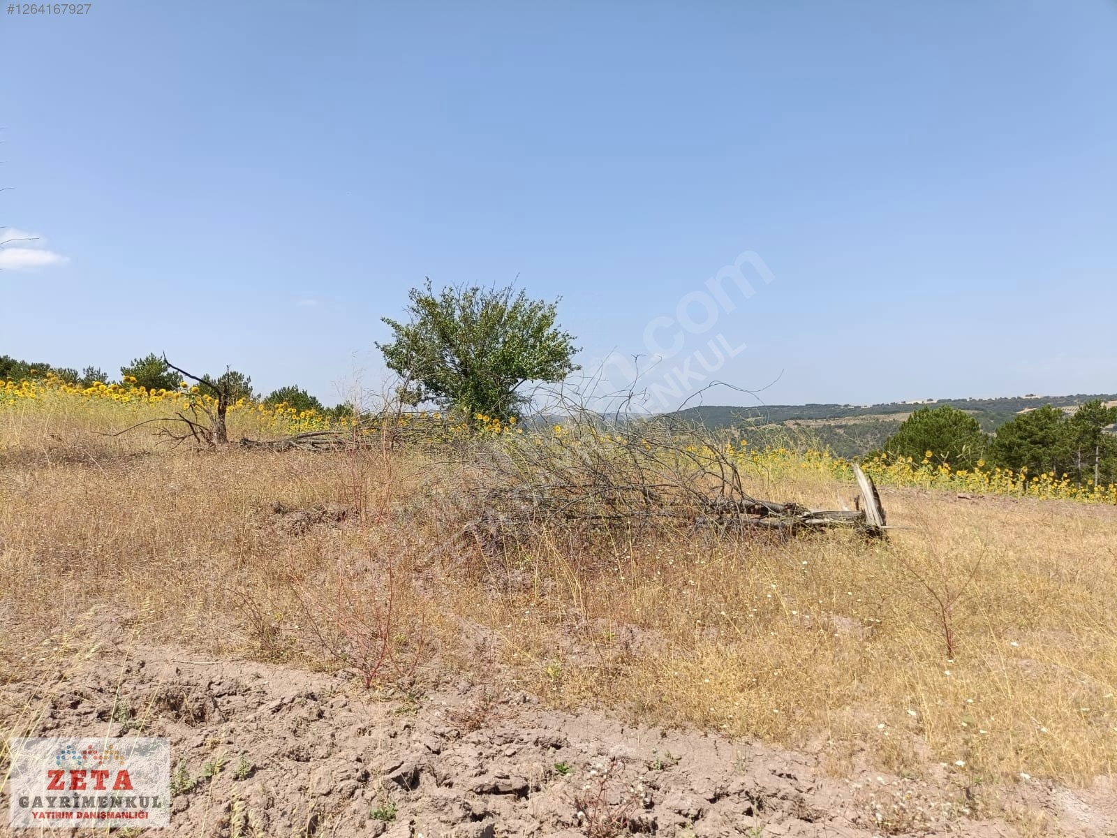 Bilecik Karaahmetler'de Yatırımlık 23.460 m² Satılık Tarla - BİLECİK GÖLPAZARI fotoğraf 8