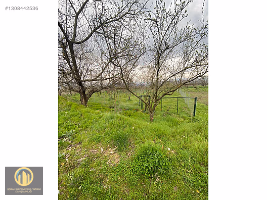 KUCUK YENICEDE RESMI YOLA CEPHE HOBI BAHCESI - BURSA İNEGÖL fotoğraf 21