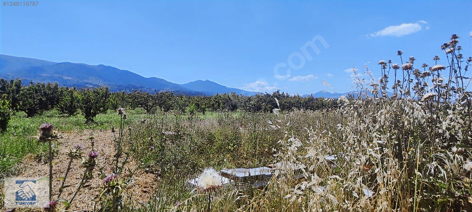 Kemalpaşa Örende 1234 M2 Satılık Müstakil Bahçe - İZMİR KEMALPAŞA fotoğraf 14