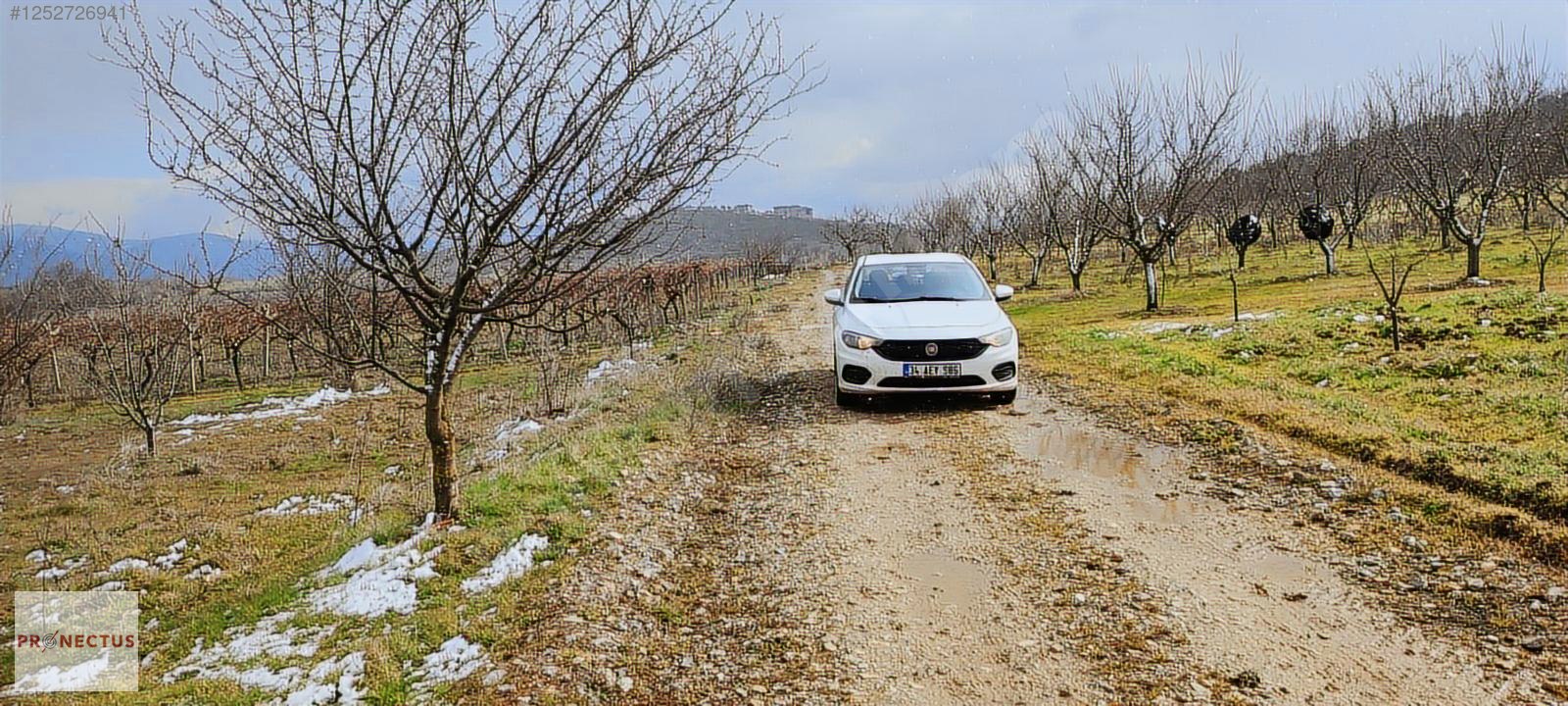 İZNİK MAHMUDİYE'DE RESMİ YOLA CEPHE SATILIK 1147M2 ERİK BAHÇESİ - BURSA İZNİK fotoğraf 5