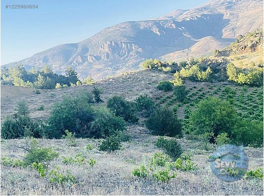 KONYA HADİM YELMEZ DE 2.817 M² TARLAMIZ SATILIKTIR - KONYA HADİM fotoğraf 5