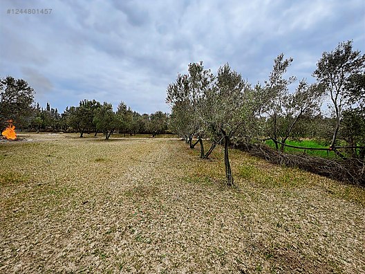 ARYA'DAN EDREMİT ÇIKRIKÇI'DA 5000 M2 TARLA - BALIKESİR EDREMİT fotoğraf 3