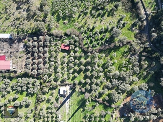 Kuşadası Kirazlıda fırsat bahçe - AYDIN KUŞADASI fotoğraf 25