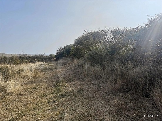 SÜLEYMANDANIŞMENT KÖYÜNDE 1326 M2 BAĞ TAPU YATIRIMLIK ARAZİ - EDİRNE LALAPAŞA fotoğraf 2