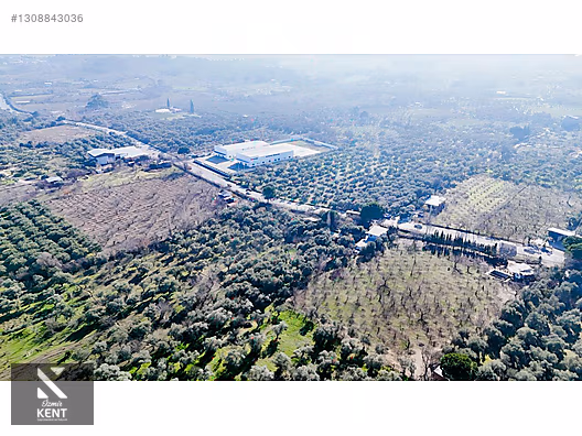 Kemalpaşa M.Akif Ersoy Satılık 7.250 m2 Bahçe Tek Tapu - İZMİR KEMALPAŞA fotoğraf 23
