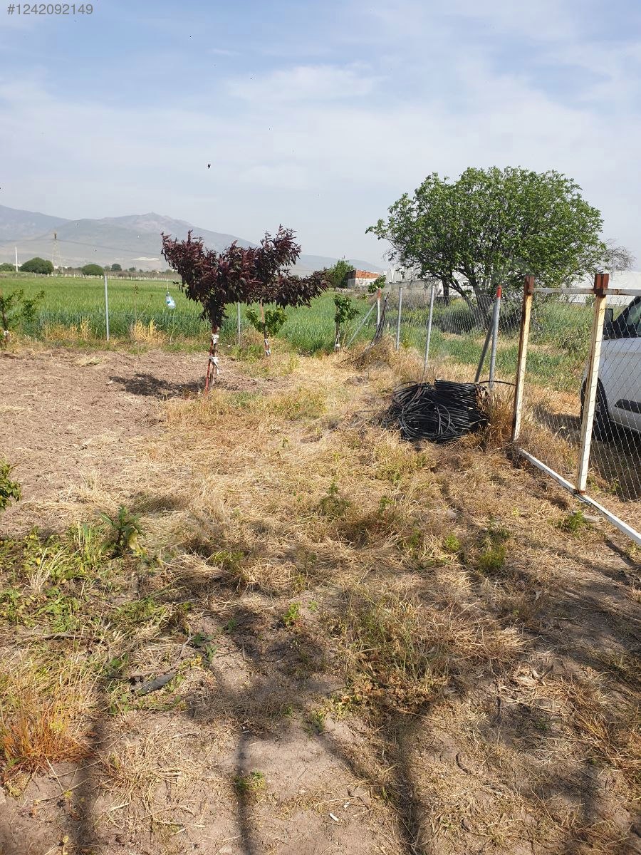 İZMİR-ALİAĞA-HAYRETTİN PAŞA  MAHALLESİ’NDEKİ TARLANIN 2.290 M²Sİ SATILIKTIR - İZMİR ALİAĞA fotoğraf 5