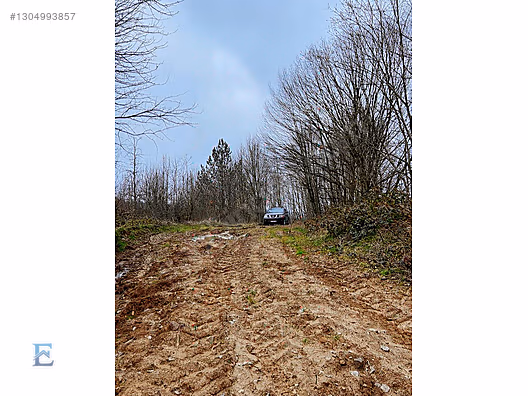 Gölcük İrşadiyede Eriklitepe Yatırımlık Arsa - KOCAELİ GÖLCÜK fotoğraf 15