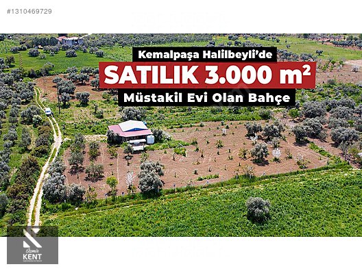 Kemalpaşa Halilbeylide Satılık 3000 m2 Bahçe 40 m2 Ev - İZMİR KEMALPAŞA fotoğraf 28