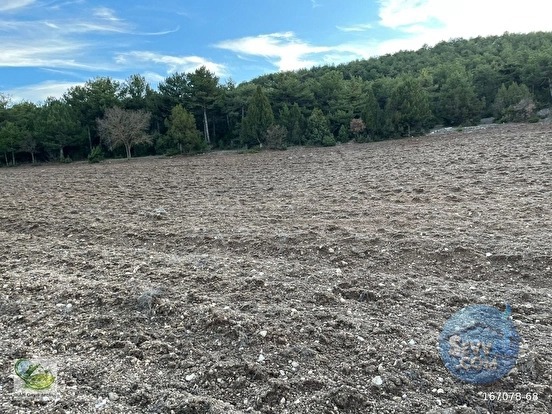 🚨 KÜTAHYA / AKÇAMESCİT'TE KÖYÜN ÜSTÜNDE 4.548 M² HARİKA ARAZİ 🚨 - KÜTAHYA MERKEZ fotoğraf 13