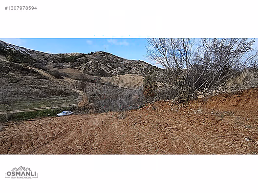 KÜRE KÖYÜNE 5 DK MESAFEDE İÇİ DÜZELTİLMİŞ 1.450 M2 SATILIK ARAZİ - BİLECİK SÖĞÜT fotoğraf 8