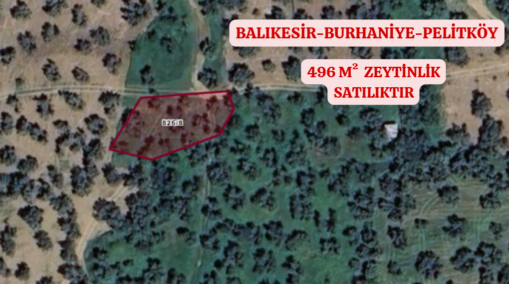 BALIKESİR BURHANİYE PELİTKÖY KÖYÜNDE 496 M² ZEYTİNLİK SATILIKTIR. - BALIKESİR BURHANİYE fotoğraf 2
