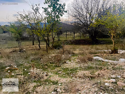 HAMİTABAT KÖYÜ VE SAKARYA NEHRİNE 200 MT MESAFEDE SERA ARAZİSİ - BİLECİK SÖĞÜT fotoğraf 11