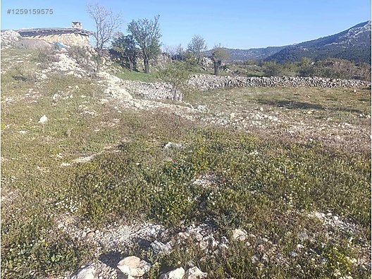 Badem bahçesi işlenmiş yeri   Mersin / Gülnar / Göktürk Mh. 801M²  - MERSİN GÜLNAR fotoğraf 2