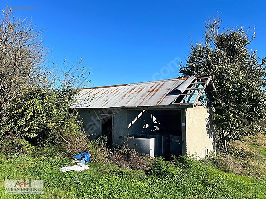 Resuller'de 84.500m² Fındıklık ve Çiftlik, Limana Yakın - SAKARYA KARASU fotoğraf 34