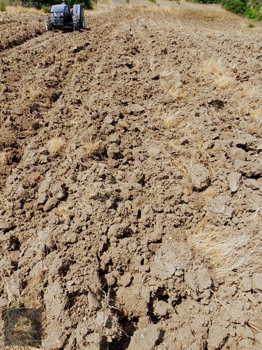 Aygün Bey'den Soma Bayatta Asfalt kenarı Sulu Bahçe Kredi K. Geç - MANİSA SOMA fotoğraf 7