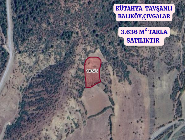KÜTAHYA TAVŞANLI BALIKÖY,ÇIVGALAR  KÖYÜNDE 3.636 M²  TARLA SATILIKTIR - KÜTAHYA TAVŞANLI fotoğraf 2
