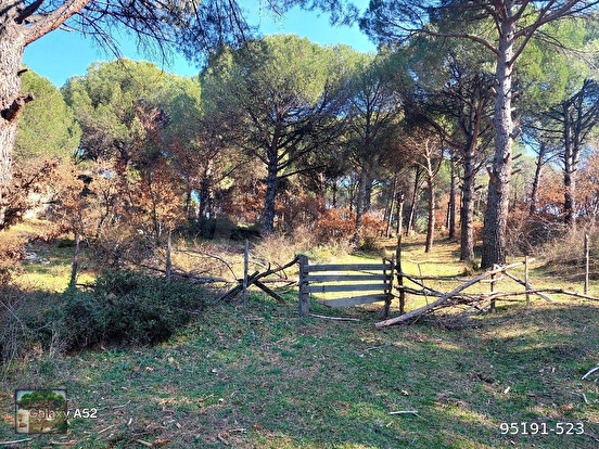 BERGAMA KOZAK YAYLASI YUKARIBEY KARAVELİLER MAH YOLUNDA 11920 m2 fıstıklık - İZMİR BERGAMA fotoğraf 5
