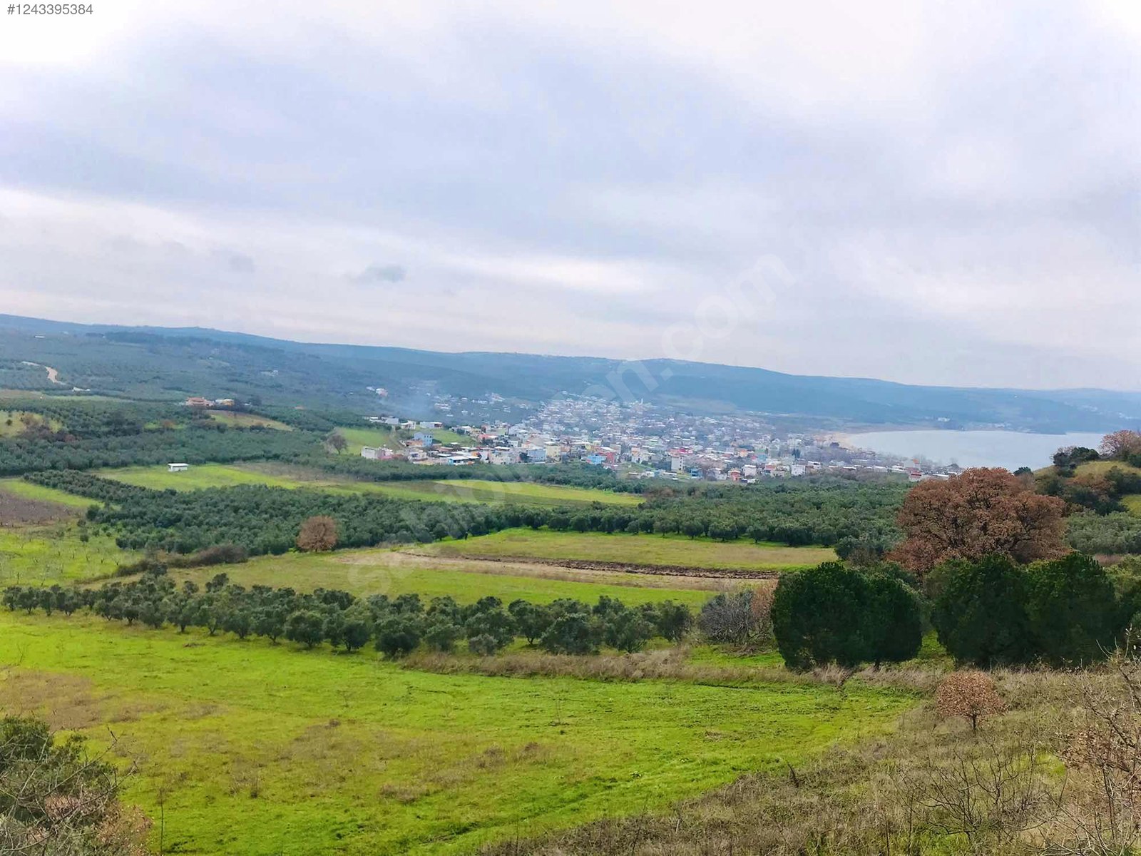 BURSA MUDANYA ESENCE'DE DENİZ MANZARALI 1190 m2 ARAZİ - BURSA MUDANYA fotoğraf 6