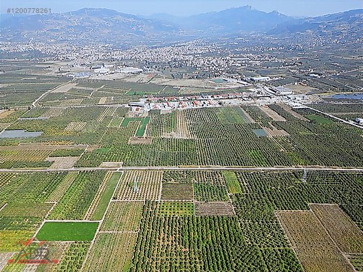SAKARYA GEYVE UMURBEY MAH. 2444,26 M2 SATILIK TARLA - SAKARYA GEYVE fotoğraf 13