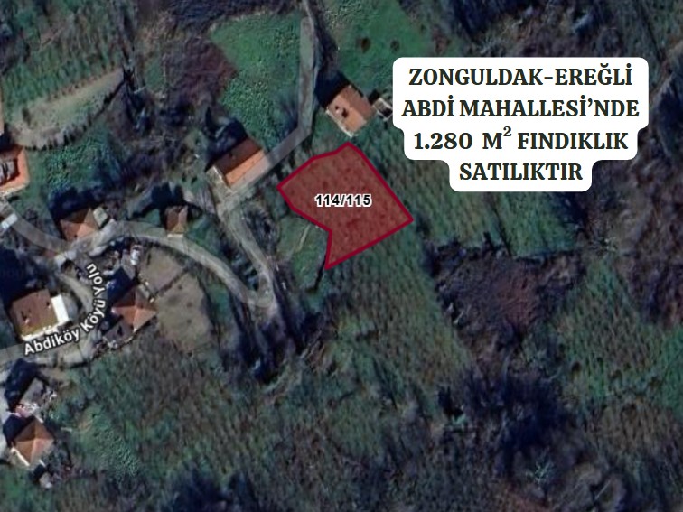 ZONGULDAK EREĞLİ ABDİ KÖYÜ’NDE 1.280  M²  FINDIKLIK SATILIKTIR - ZONGULDAK EREĞLİ fotoğraf 2