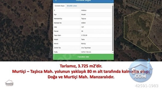 Murtiçine Yakın Konumda Acil Satılık Tarla - ANTALYA AKSEKİ fotoğraf 4