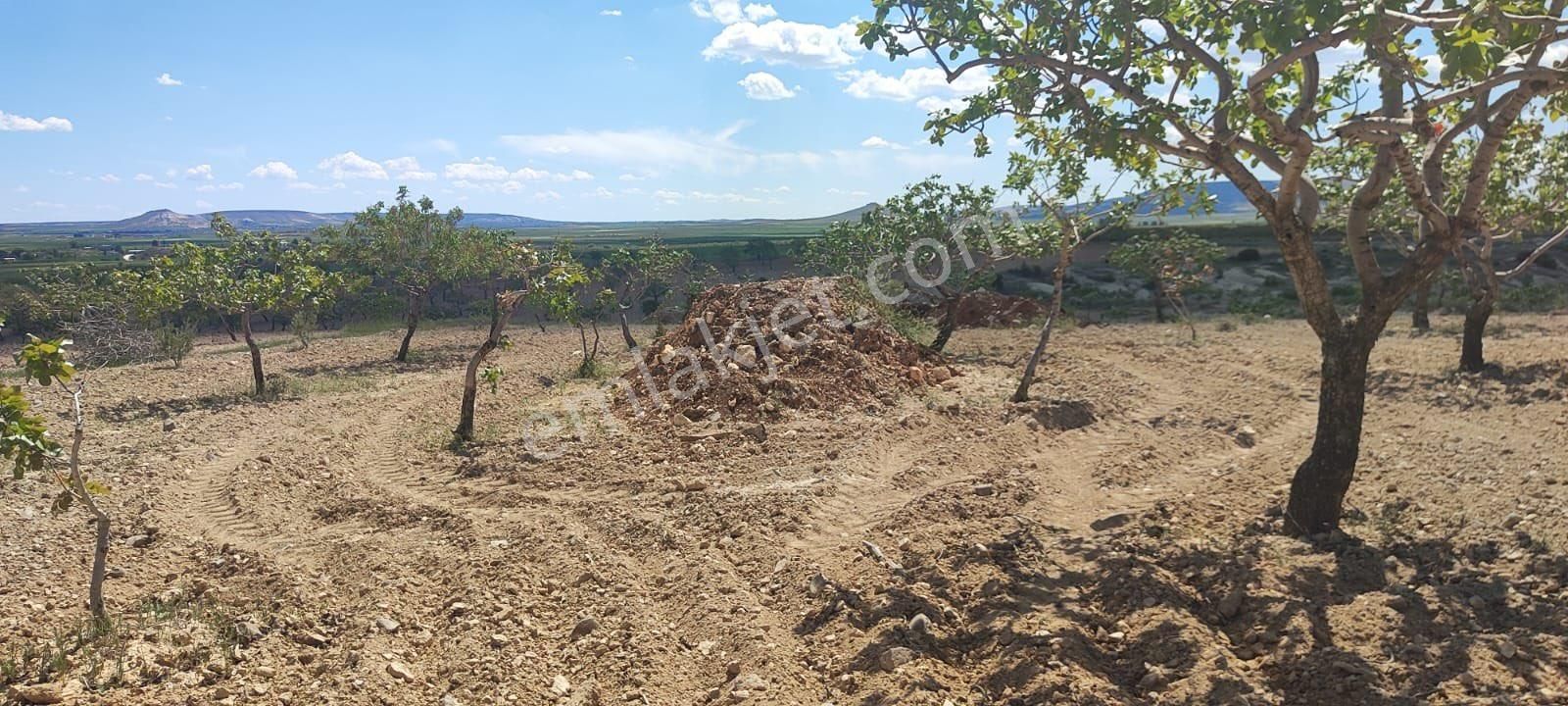 Casuk Emlaktan Satılık Tarla - ŞANLIURFA KARAKÖPRÜ fotoğraf 8