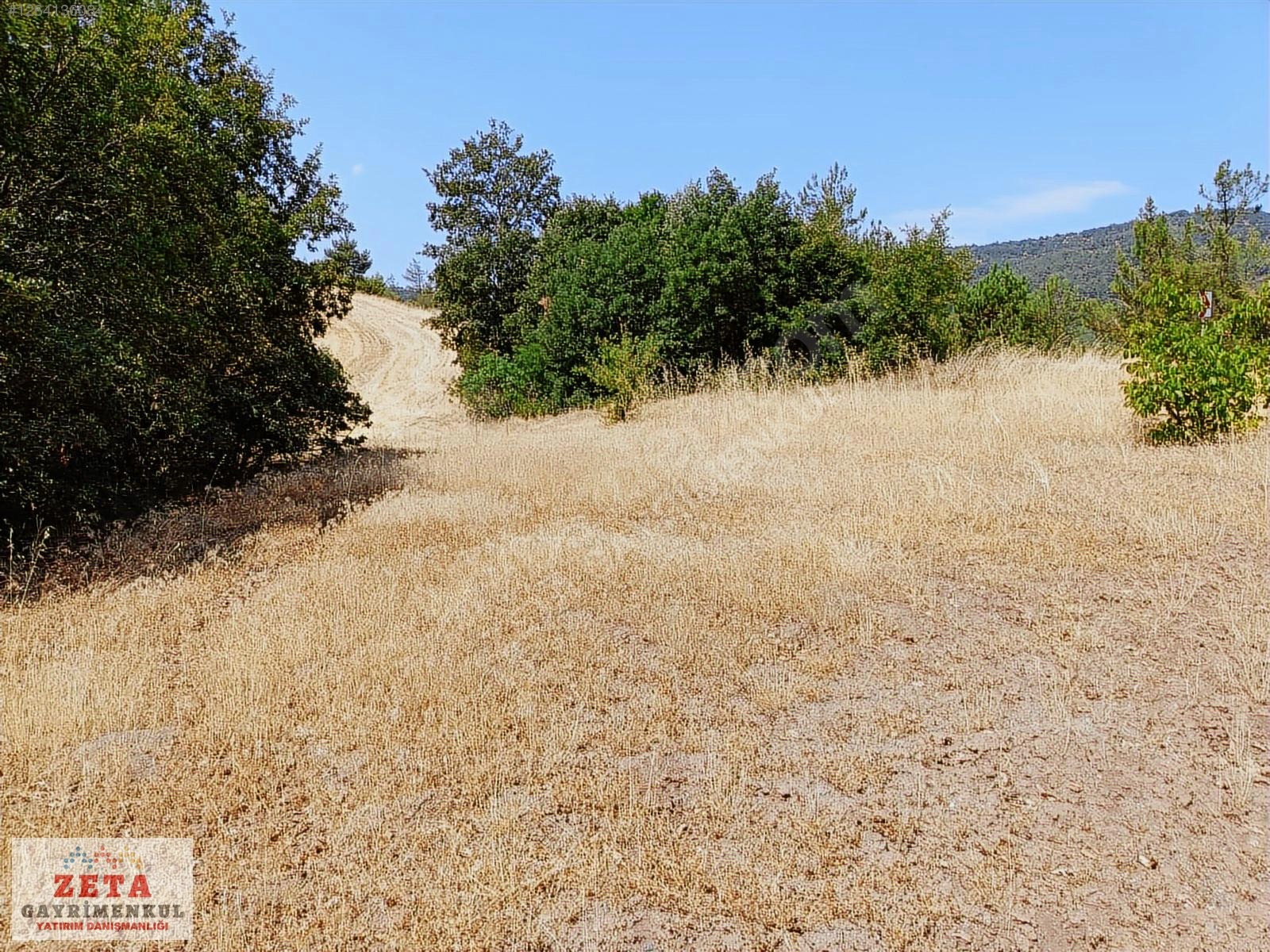 Sakarya Taraklı'da 11.240 m² Yatırımlık Tarla - SAKARYA TARAKLI fotoğraf 7