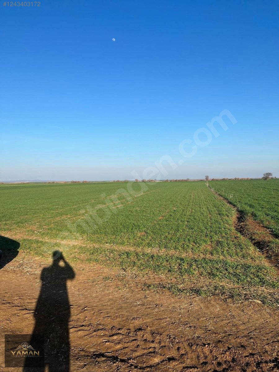 PINARHİSAR - SÜTLÜCEDE KAÇIRILMAYACAK FIRSAT TARLA - KIRKLARELİ PINARHİSAR fotoğraf 15