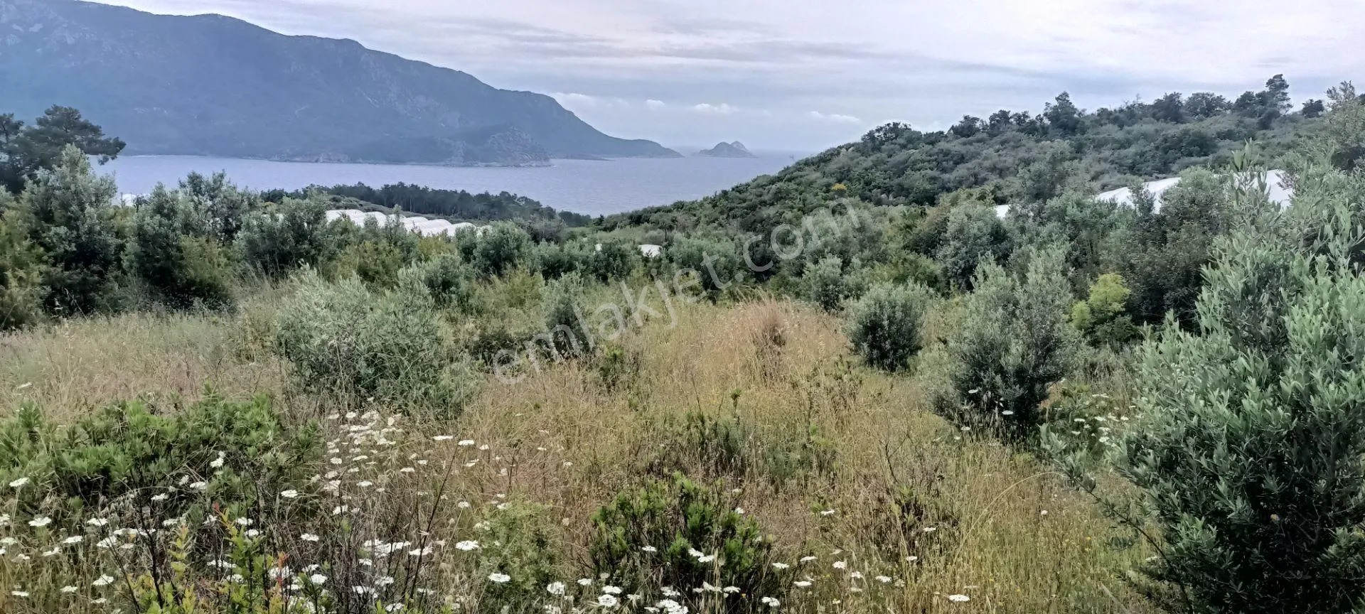 Kumluca Yenicepınar Da Deniz Manzaralı Satılık Arsa-tarla - ANTALYA KUMLUCA fotoğraf 12